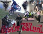 EVOLUSTUNT�